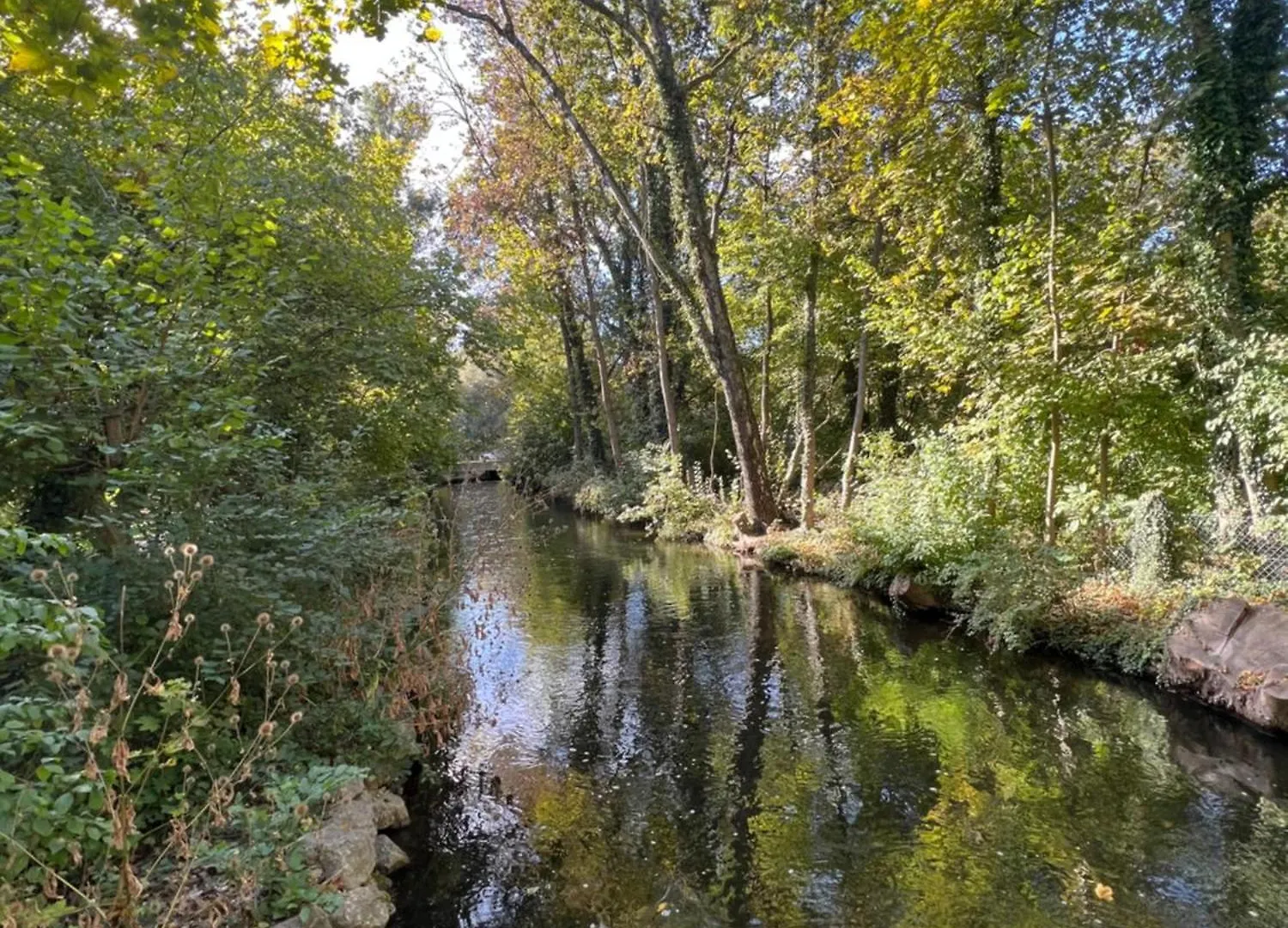 Privatzimmer 15 Qm Mit Gemeinschaftsbad Munich Homestay